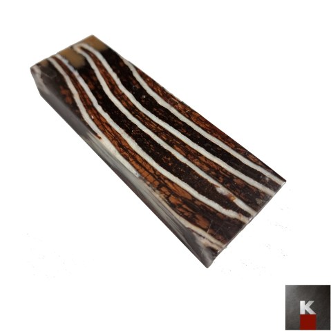 quadrotto molare mammuth fossile brown zc K